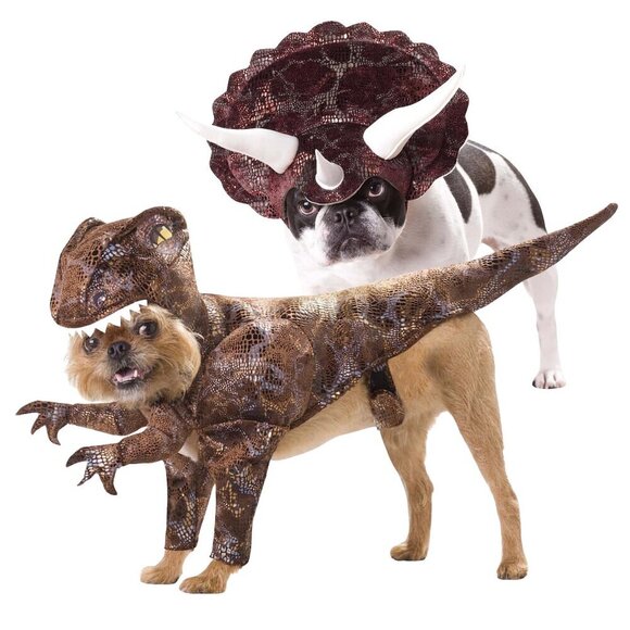 Animal Planet T-Rex & Triceratops Dino Dinosaur Dog Halloween Costume - Size Med - Picture 1 of 12